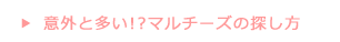 意外と多いマルチーズの探し方