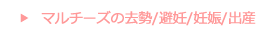 マルチーズの去勢/避妊・妊娠/出産